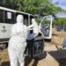 Operação resgata ararinhas-azuis na BA contra vírus – 27/05/2026 – Ambiente